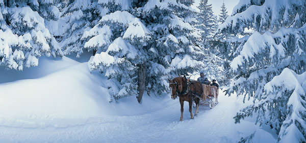 horse-drawn-sleigh-c-valais-tourism_x2g-600280