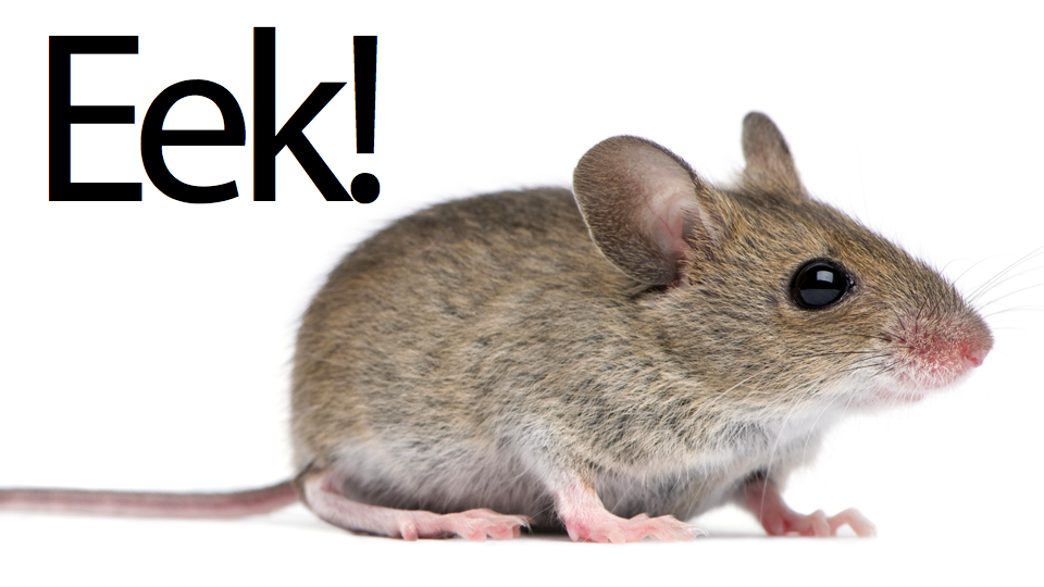 Eek!