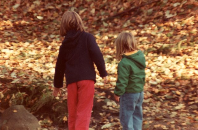 autumn-leaves-on-11-nov-1982