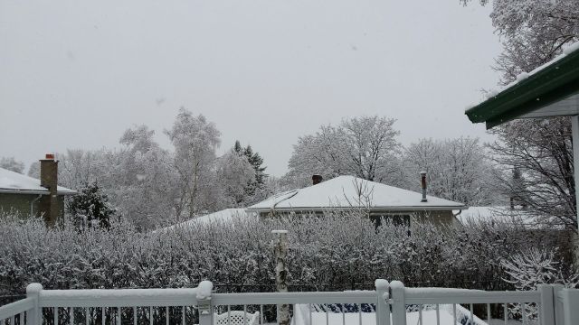 hazy-shade-of-winter