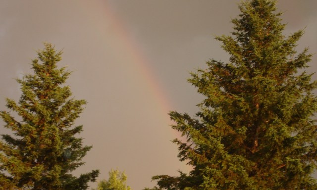 Rainbow