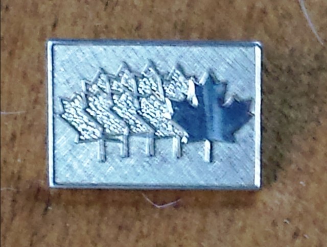 Lotto Canada Pin