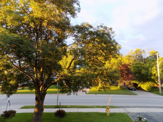 Canada Daylights 002