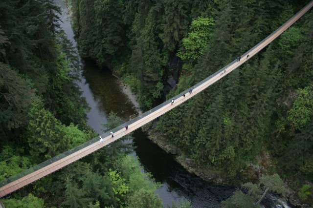 Bridge-Wide-Shot0_b81ea597-5056-b3a8-490ef5de9a48ac19