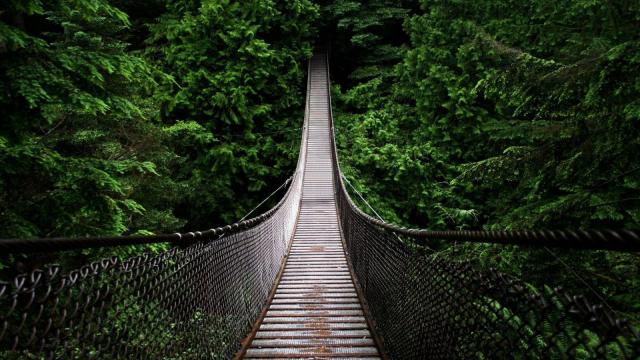 Capilano-Suspension-Bridge.-Canada