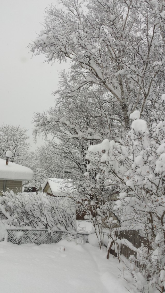 More marshmallow world