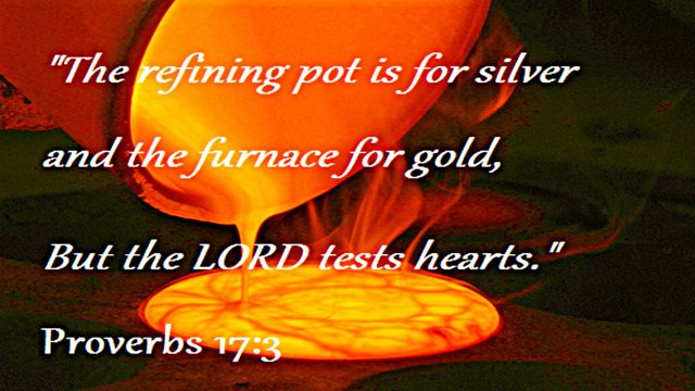 cc17adfe-623d-4918-9f02-8e5b620926f1_640x360