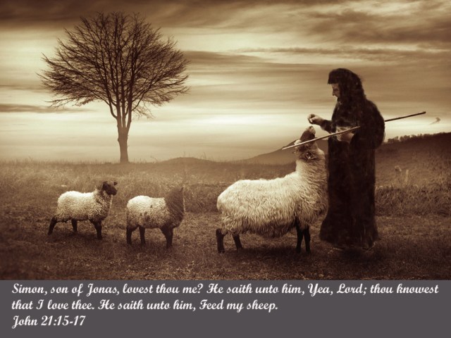 Graphic-Peter-Feed-My-Sheep