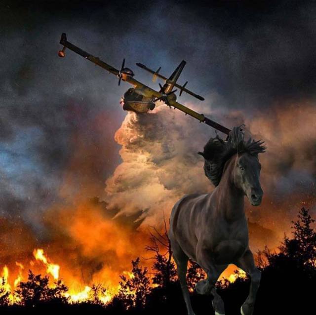 45960860_10215868636741640_8870350850682257408_n