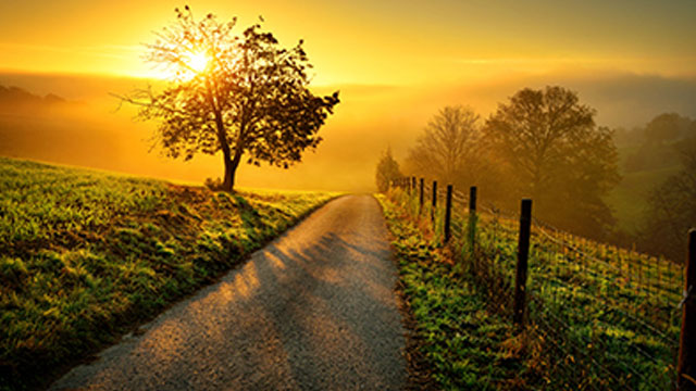 The-Tapestry-of-Life