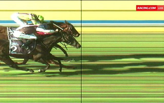 bendigophoto-734x460