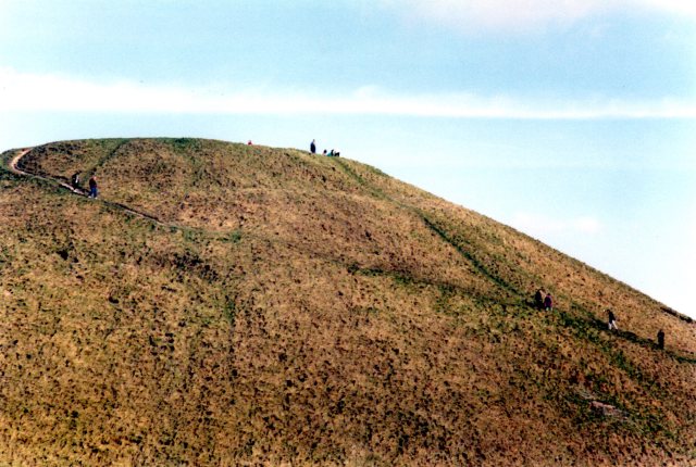 Silbury Ants