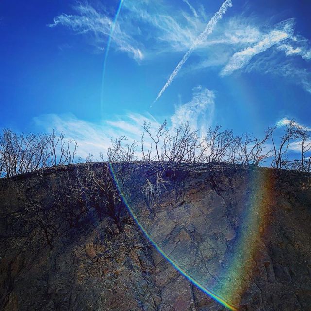 48376408_10156494329141117_939371938193604608_n