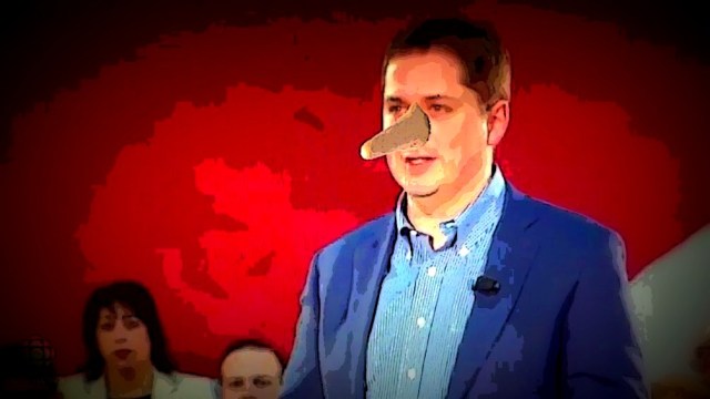 scheer pizzagate nose.