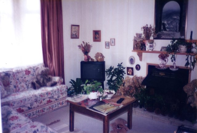 108 Windsor livingroom