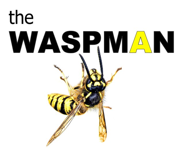 The-WASPman-logo