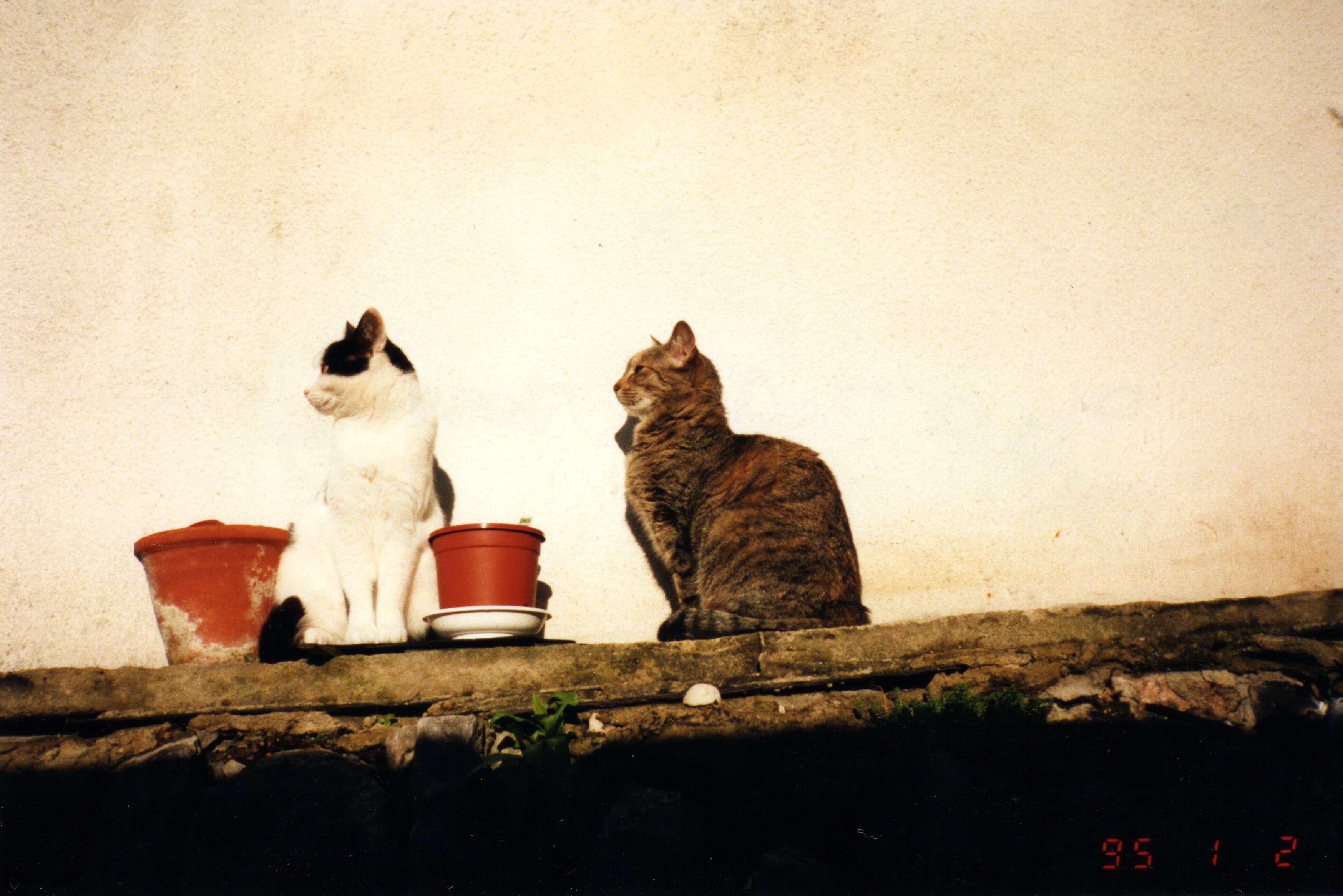 Abbey and Vancy