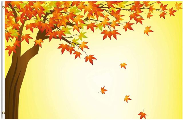 81FqzWu6ozL._AC_SL1500_