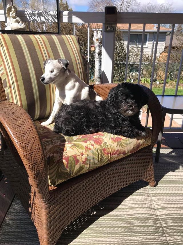 98078355_10163467165910632_553880601694830592_o